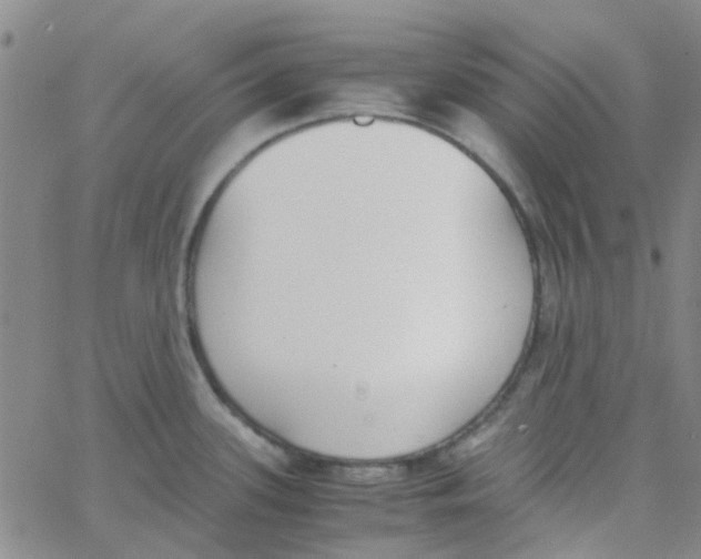 X0000062671339200601181851