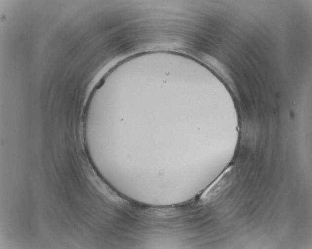 X0000062671340200601181851