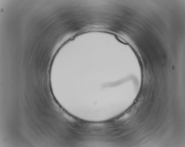 X0000062671341200601181851