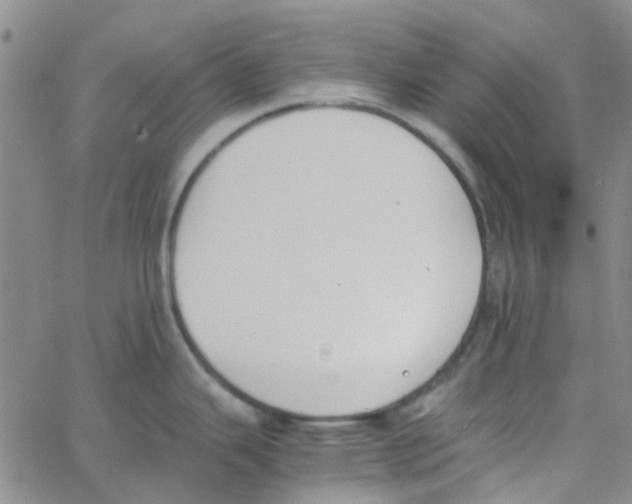 X0000062671343200601181851