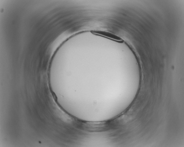 X0000062671344200601181851