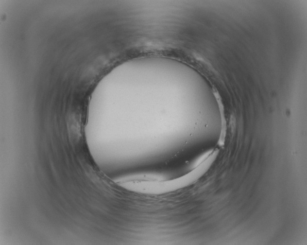 X0000062671348200601181850