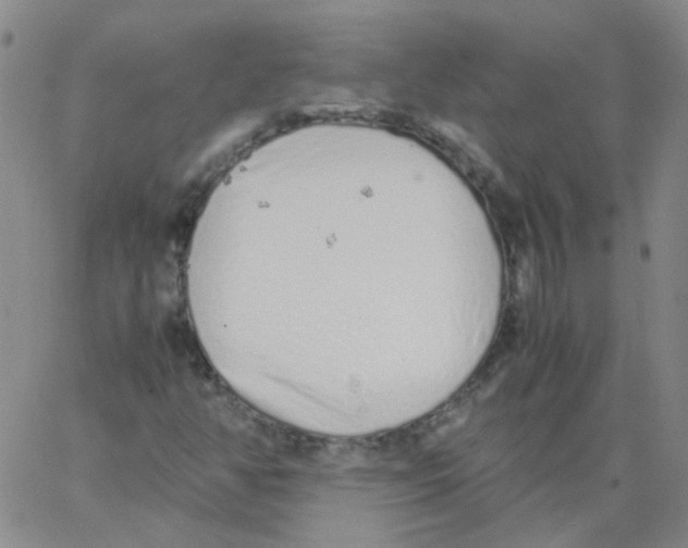 X0000062671350200601181850