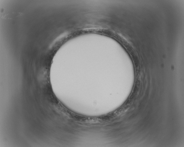 X0000062671351200601181850