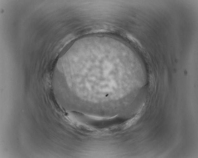 X0000062671353200601181850