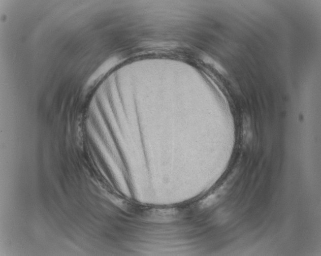 X0000062671354200601181850