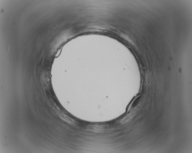 X0000062671355200601181850