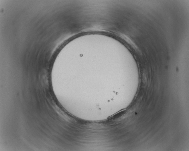 X0000062671356200601181850