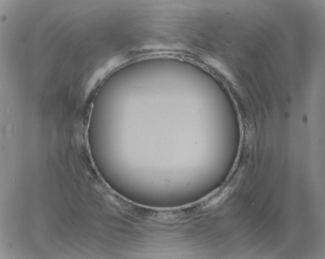 X0000062671357200601181850