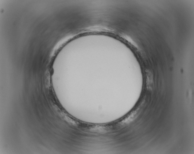 X0000062671358200601181850