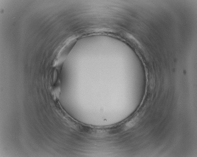 X0000062671361200601181850