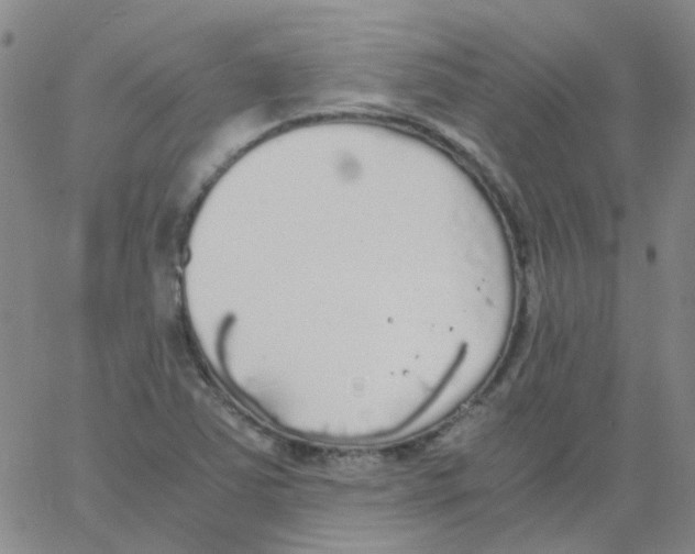 X0000062671363200601181850