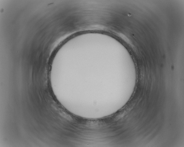 X0000062671364200601181850