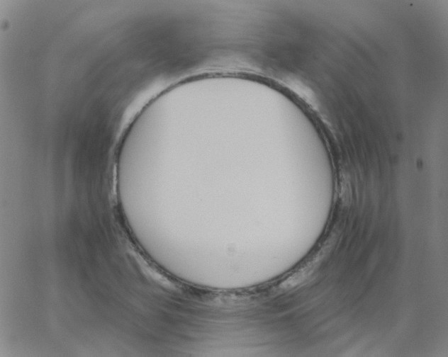 X0000062671366200601181850