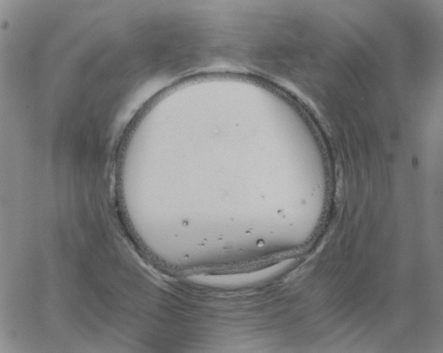 X0000062671367200601181850