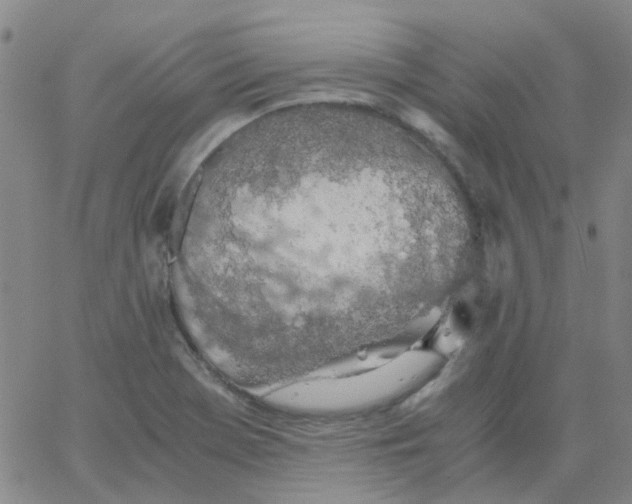 X0000062671369200601181850