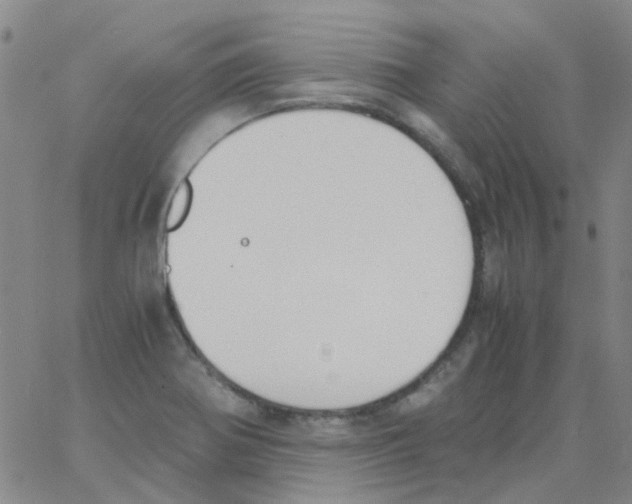 X0000062671370200601181850