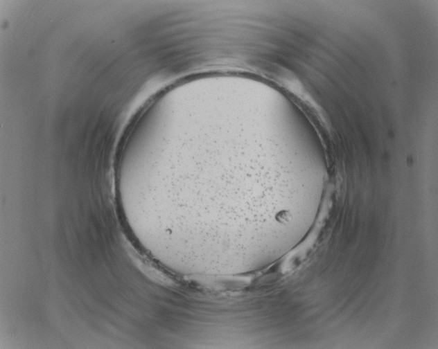 X0000062671372200601181850