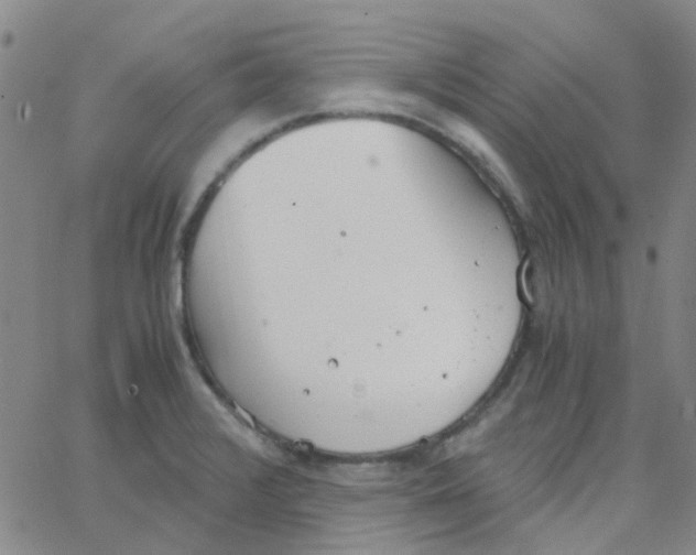 X0000062671376200601181850