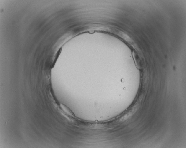 X0000062671377200601181850