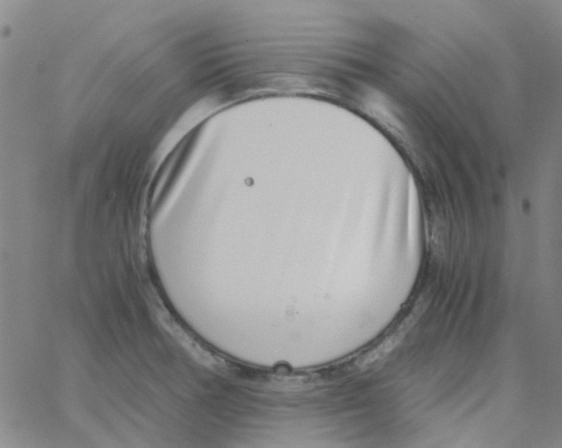 X0000062671378200601181850