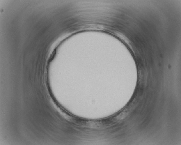 X0000062671379200601181850