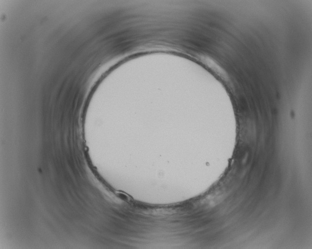 X0000062671380200601181850