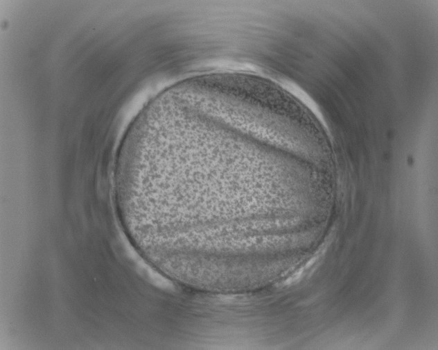 X0000062671381200601181850