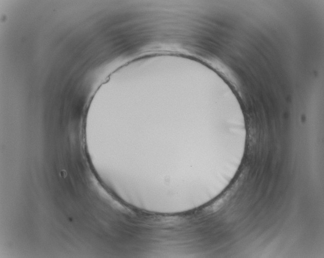 X0000062671382200601181849