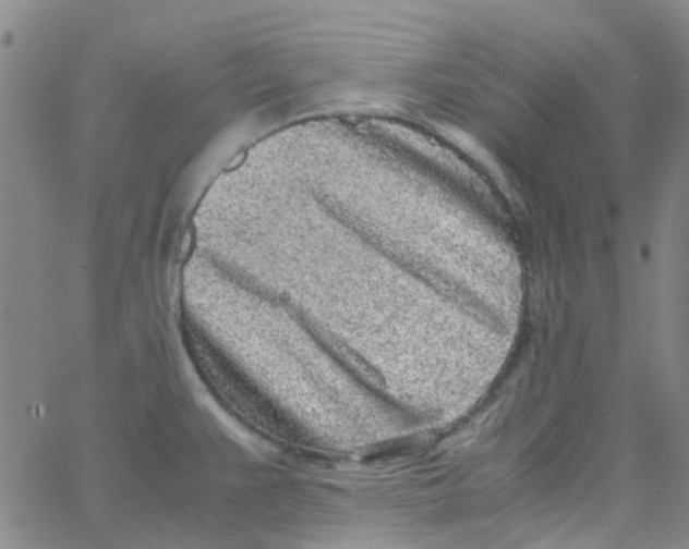 X0000062671383200601181849