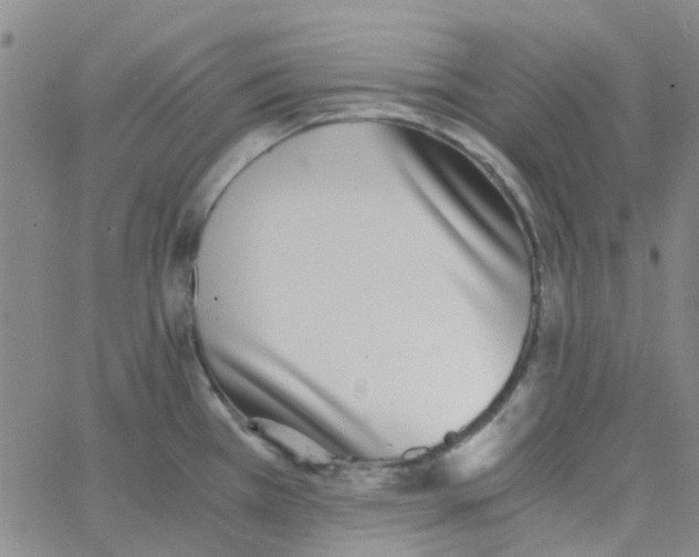 X0000062671385200601181849