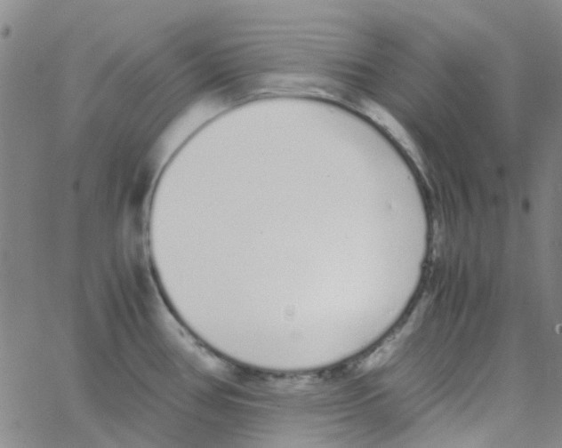 X0000062671386200601181849