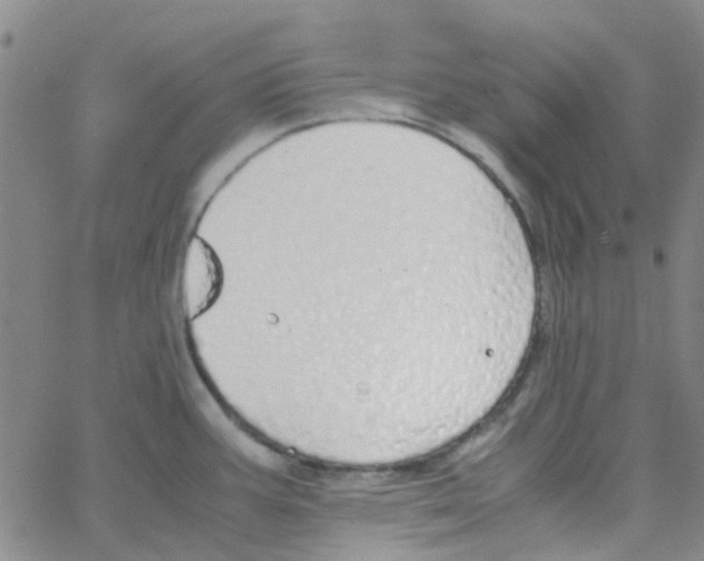 X0000062671387200601181849