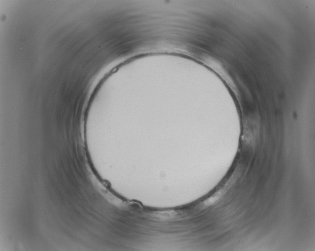 X0000062671388200601181849