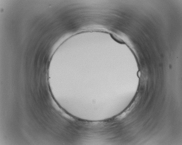 X0000062671390200601181849