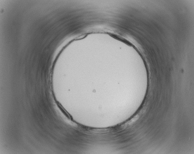 X0000062671392200601181849