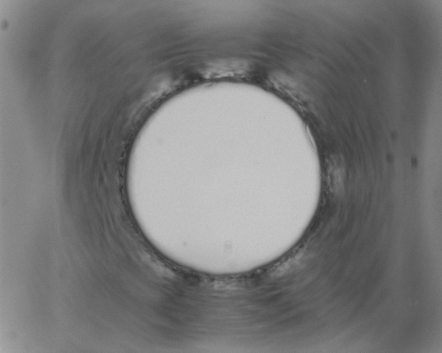 X0000062671393200601181849