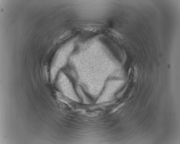 X0000062671394200601181849