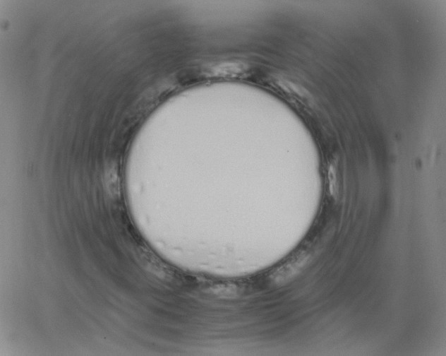 X0000062671395200601181849