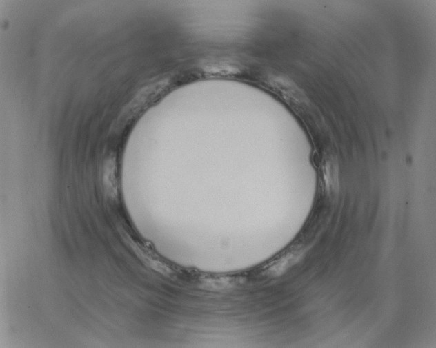 X0000062671396200601181849