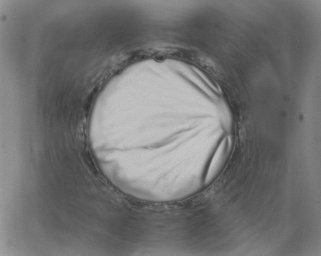 X0000062671397200601181849