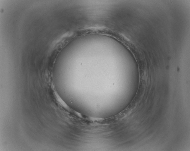 X0000062671398200601181849