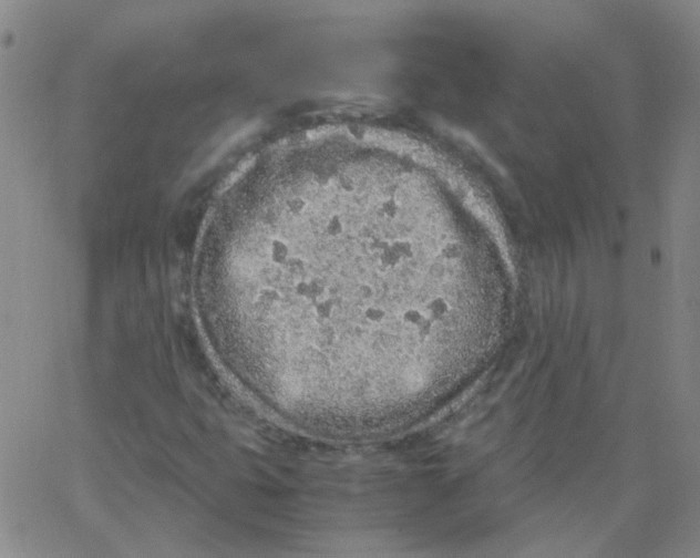 X0000062671399200601181849