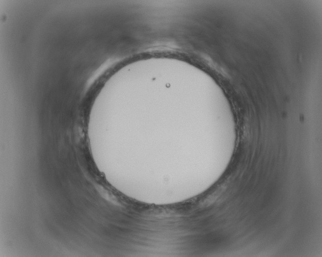 X0000062671400200601181849