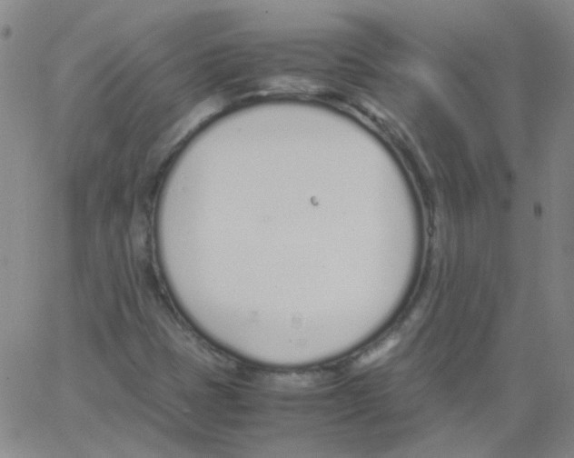 X0000062671401200601181849