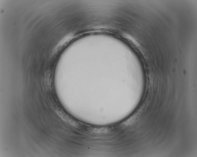 X0000062671403200601181849