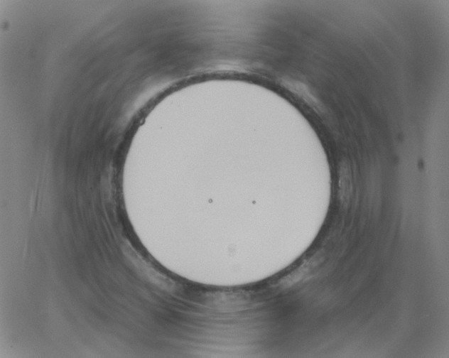 X0000062671404200601181849