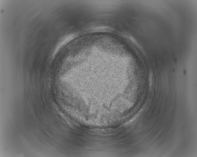 X0000062671405200601181849