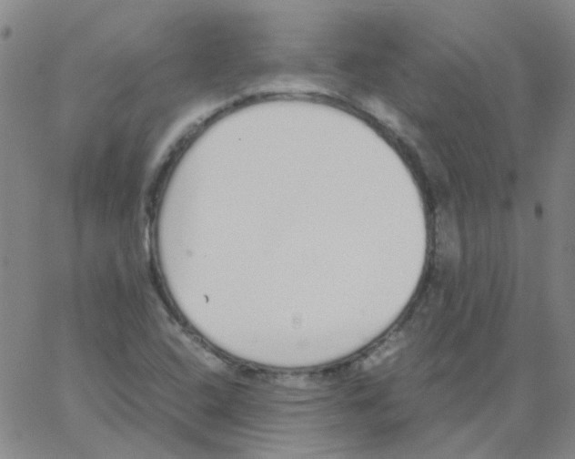 X0000062671408200601181849