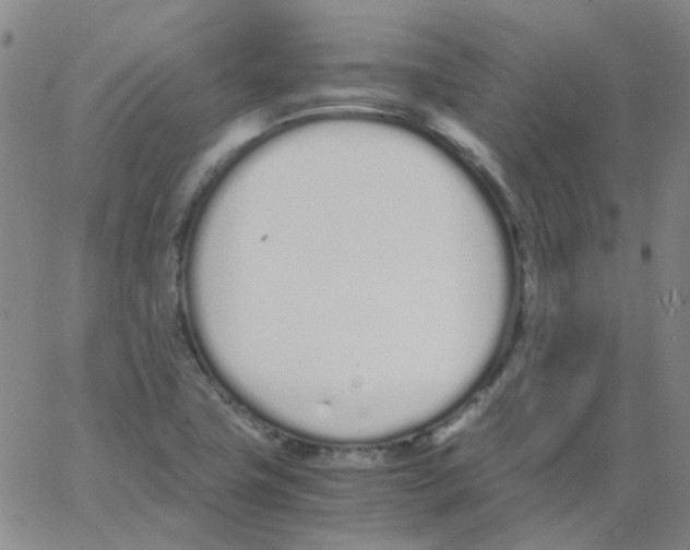 X0000062671411200601181849